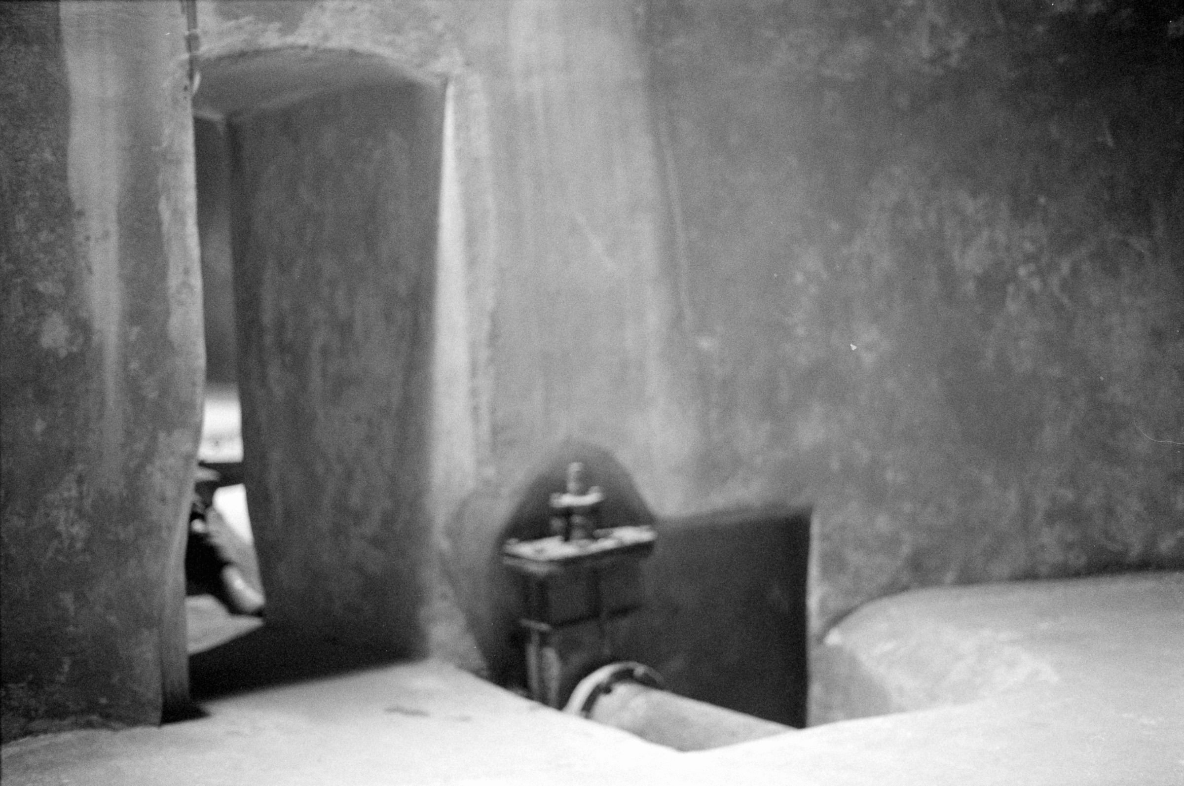 AHP F1994 11 009 sc250521 img13 NLP